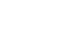 Virtuopo